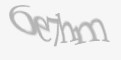 Защитный код