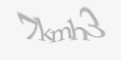 Защитный код