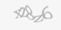Защитный код