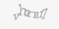 Защитный код
