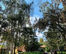 Кажется, последний день лета на Среднем Урале выпал на 23 сентября