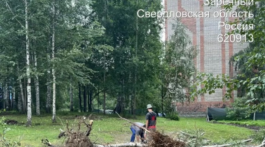 В Заречном началась вырубка аварийных деревьев в зоне благоустройства у Курчатова
