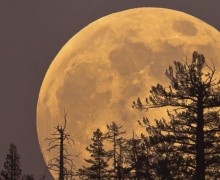 Понравилось наблюдать лунное затмение?