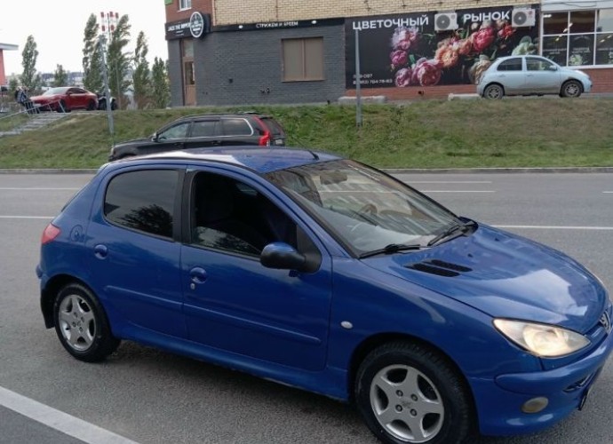 Peugeot 206, 2004