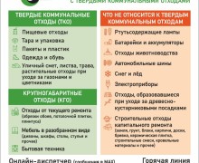 Правила размещения отходов на контейнерных площадках: что разрешено, а что запрещено