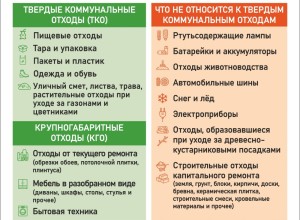 Правила размещения отходов на контейнерных площадках: что разрешено, а что запрещено