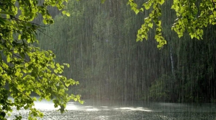 По сообщению синоптиков, 03 июня местами в Свердловской области прогнозируются дожди, ливни, град, грозы и сильный ветер с порывами до 24 м/с