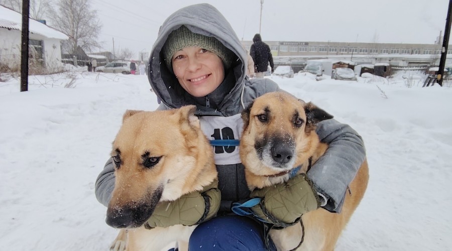 В выходные зареченские собачники соревновались в Асбесте на Зарничке