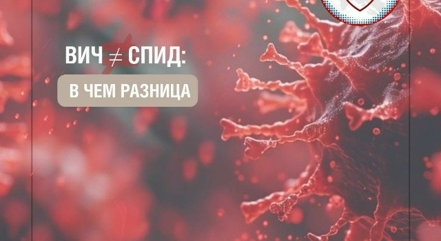ВИЧ и СПИД: в чем различие и почему важно не путать эти понятия