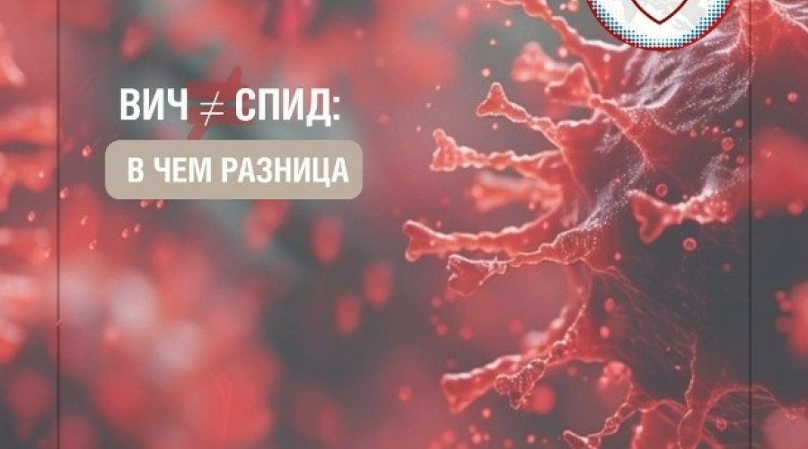 ВИЧ и СПИД: в чем различие и почему важно не путать эти понятия