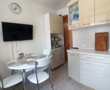 Трехкомнатная квартира Курчатова 21