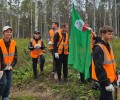 В Режиковском лесничестве высадили сибирские ели в рамках акции «Сохраним лес»