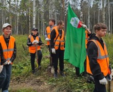 В Режиковском лесничестве высадили сибирские ели в рамках акции «Сохраним лес»