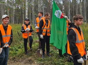 В Режиковском лесничестве высадили сибирские ели в рамках акции «Сохраним лес»
