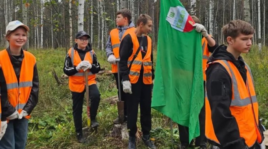 В Режиковском лесничестве высадили сибирские ели в рамках акции «Сохраним лес»