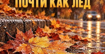 Мокрые листья на дорогах Заречного: как безопасно передвигаться осенью