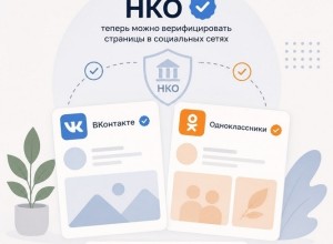 НКО Свердловской области смогут верифицировать страницы во «ВКонтакте» и «Одноклассниках» через «Госуслуги»