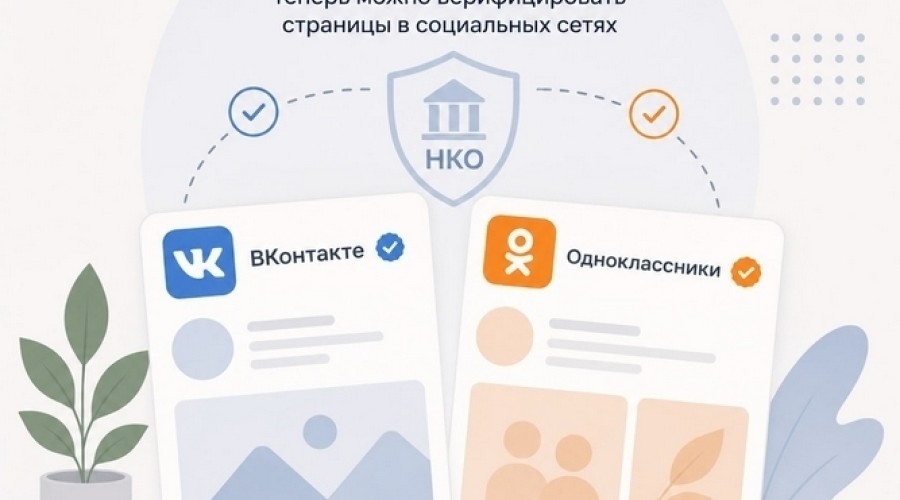 НКО Свердловской области смогут верифицировать страницы во «ВКонтакте» и «Одноклассниках» через «Госуслуги»