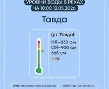 Весеннее половодье в Свердловской области: ситуация на 7 затопленных мостах и 19 населённых пунктах