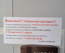 На подъездах домов появились объявления от некой «службы дезинфекции»