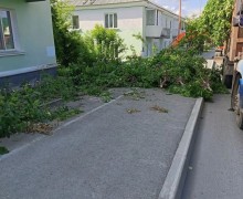 На улице Мира в Заречном проводят расчистку от кустарников