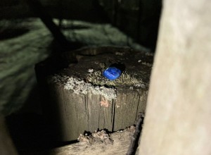 В Заречном задержаны жители Первоуральска по подозрению в наркоторговле