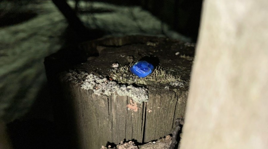 В Заречном задержаны жители Первоуральска по подозрению в наркоторговле