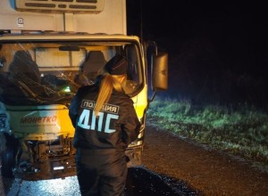 Свердловская Госавтоинспекция устанавливает обстоятельства ДТП, повлекшего травмы трех человек, среди которых был маленький ребенок