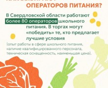Как устроено питание в школах Свердловской области