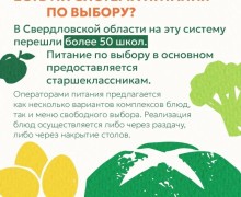 Как устроено питание в школах Свердловской области