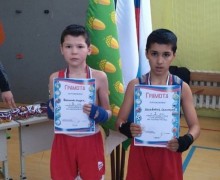 Открытый турнир по боксу