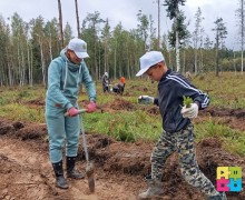 Больше 5 тысяч деревьев высадили в субботу, 6 сентября на территории Заречного