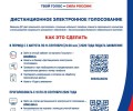 Более 500 зареченцев уже подали заявки на дистанционное электронное голосование