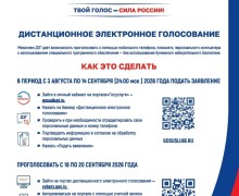 Более 500 зареченцев уже подали заявки на дистанционное электронное голосование