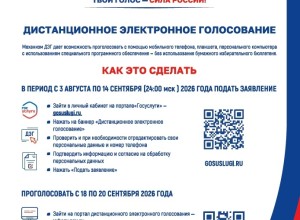 Более 500 зареченцев уже подали заявки на дистанционное электронное голосование