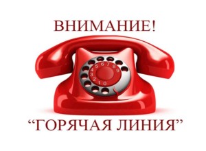 В Заречном начала работу горячая линия по вопросам выборов