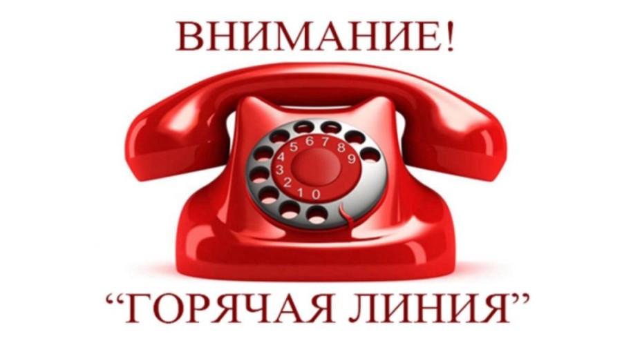 В Заречном начала работу горячая линия по вопросам выборов