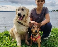 Щенки из Заречного обретают семьи: двое уже дома
