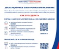 Заявления для участия в ДЭГ и голосовании по месту нахождения принимаются с 3 августа