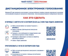 Заявления для участия в ДЭГ и голосовании по месту нахождения принимаются с 3 августа