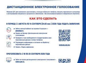 Заявления для участия в ДЭГ и голосовании по месту нахождения принимаются с 3 августа