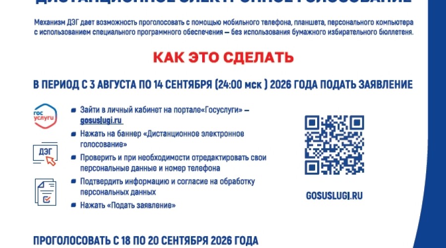 Заявления для участия в ДЭГ и голосовании по месту нахождения принимаются с 3 августа