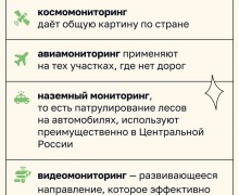 Сократить площадь лесных пожаров в России вдвое к 2030 году 