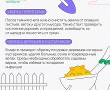 Начало весны: пора оживлять ваш сад