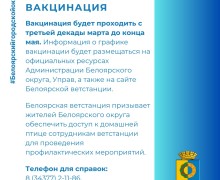 Домашних пернатых привьют от гриппа птиц