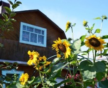 Свердловская область — лидер в УрФО по программе «Сельская ипотека»