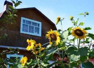 Свердловская область — лидер в УрФО по программе «Сельская ипотека»