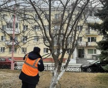 В сквере Победы полным ходом идёт весенняя уборка