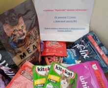 Пушистый атом помогает: продолжается акция по сбору кормов для бездомных животных