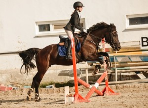 Воспитанницы клуба Добрая лошадь привезли 13 медалей с соревнований!